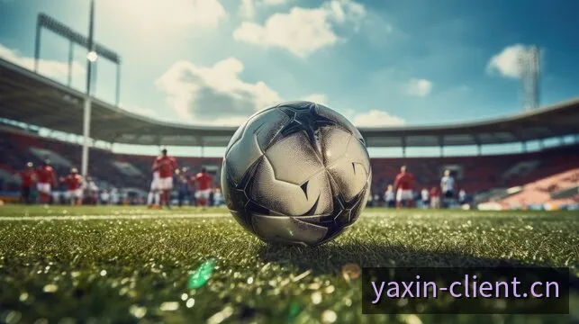 亚新APP精彩体育现场与比赛直播终端界面